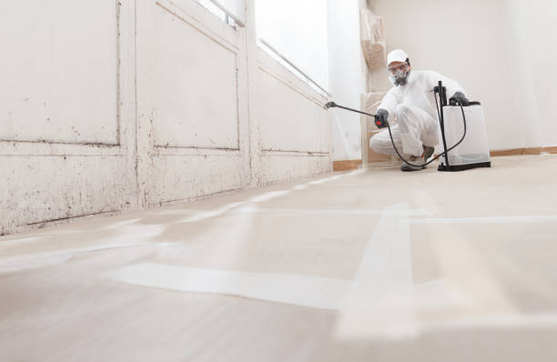24/7 Emergency Attic Mold Removal experts in Franklin, TX