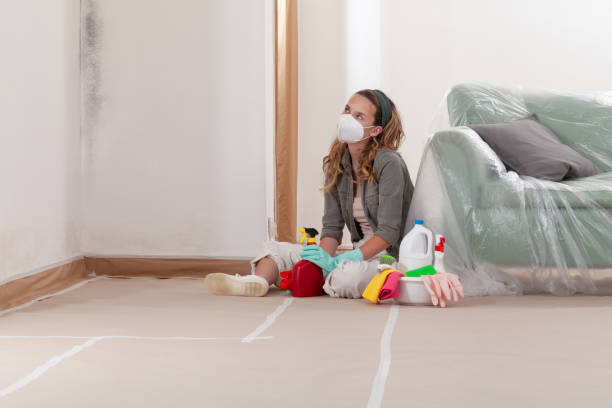 Reliable Attic Mold Removal contractor in Franklin, TX by WQB Mold Removal